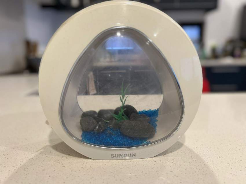 Aquarium fish tank on Aster Vender