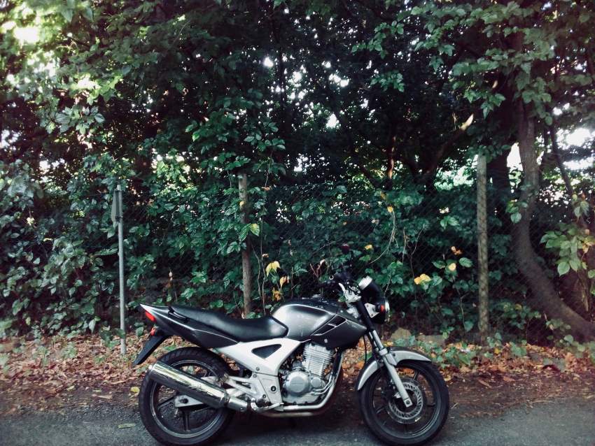 HONDA CBX 250  - 1 - Roadsters  on Aster Vender