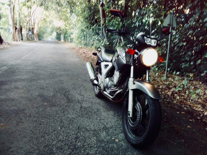 HONDA CBX 250  - 3 - Roadsters  on Aster Vender