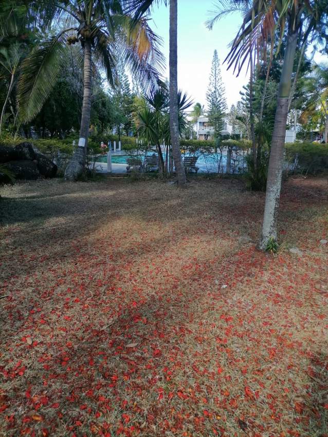 Maison à louer - 8 - Apartments  on Aster Vender