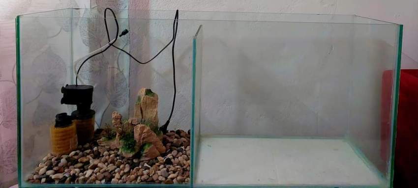 Aquarium - 0 - Others  on Aster Vender