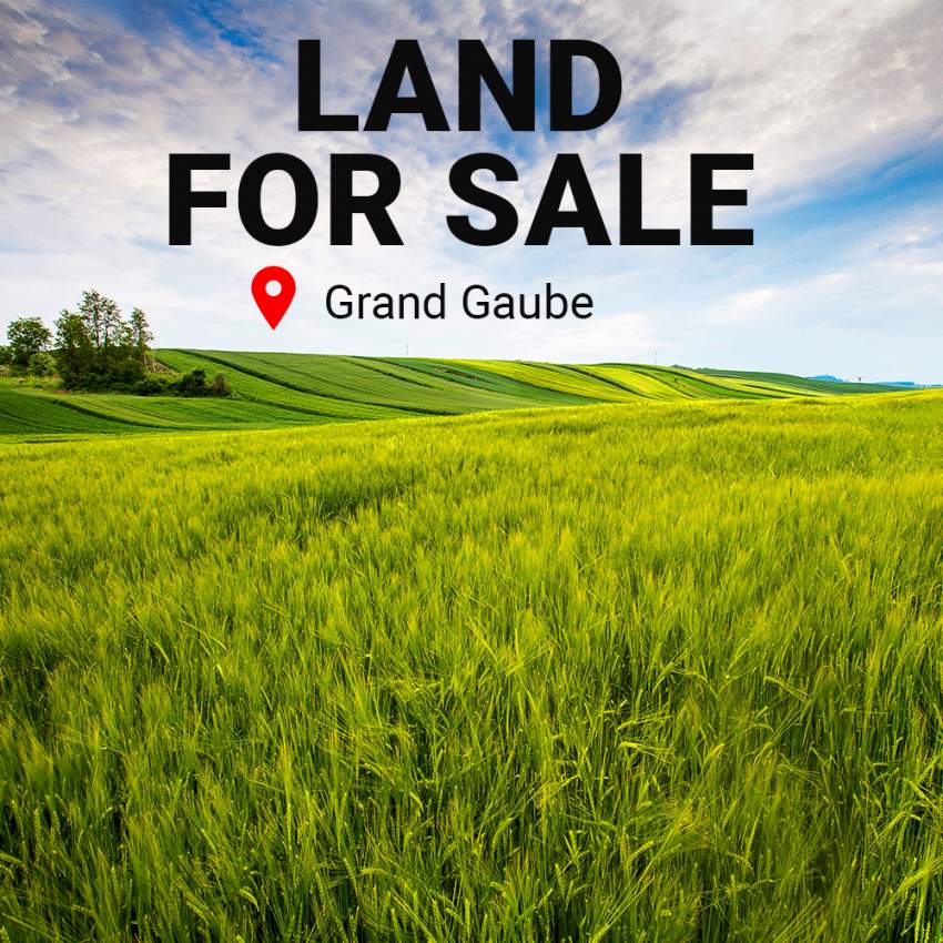 LAND FOR SALE AT GRAND GUABE - 0 - Land  on Aster Vender