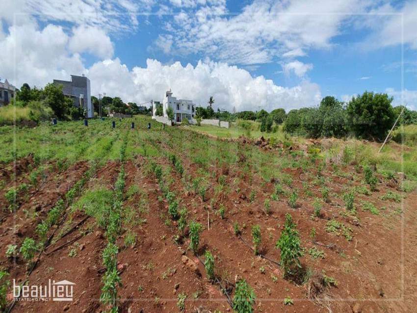 Residential land of 7 perches in Triolet - 3 - Land  on Aster Vender