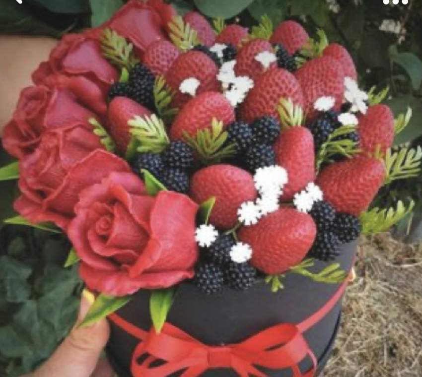 Flowers - 1 - Others  on Aster Vender