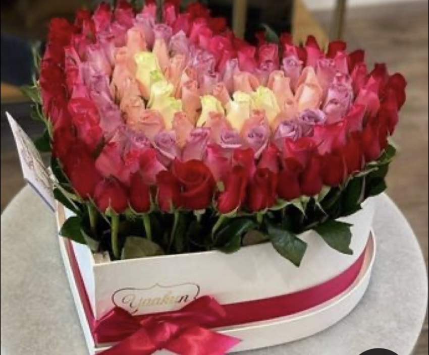 Flowers - 4 - Others  on Aster Vender