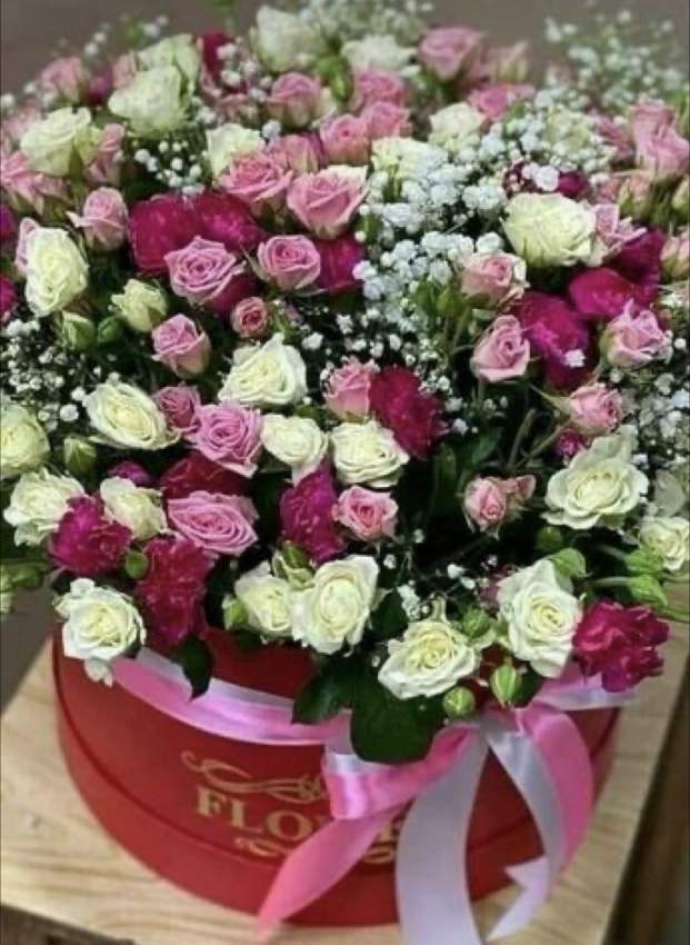 Flowers - 3 - Others  on Aster Vender