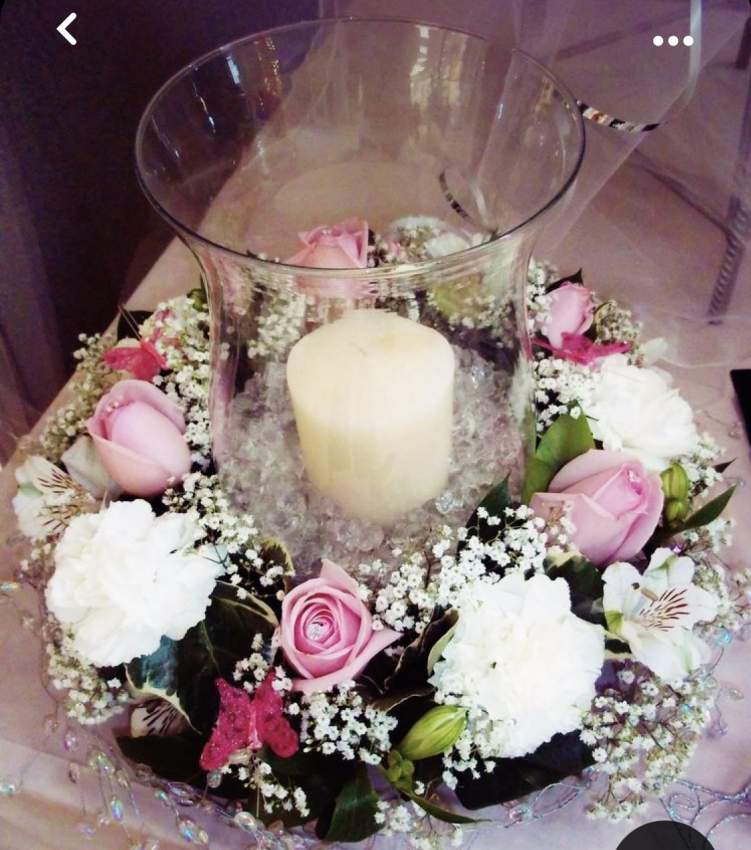 Flowers - 0 - Others  on Aster Vender