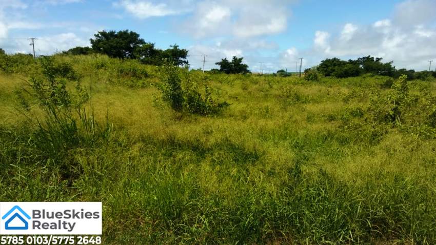 25 Perches Cap Malheureux - 3 - Land  on Aster Vender