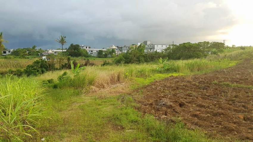 land for sale - 5 - Land  on Aster Vender