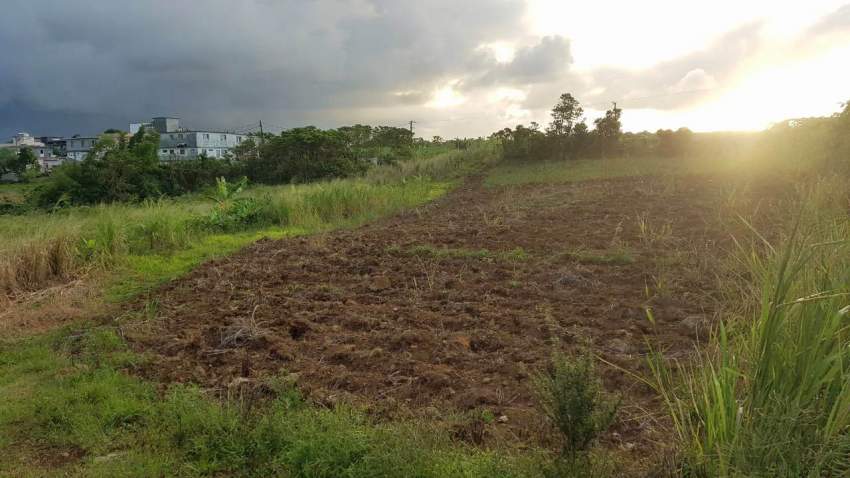 land for sale - 4 - Land  on Aster Vender