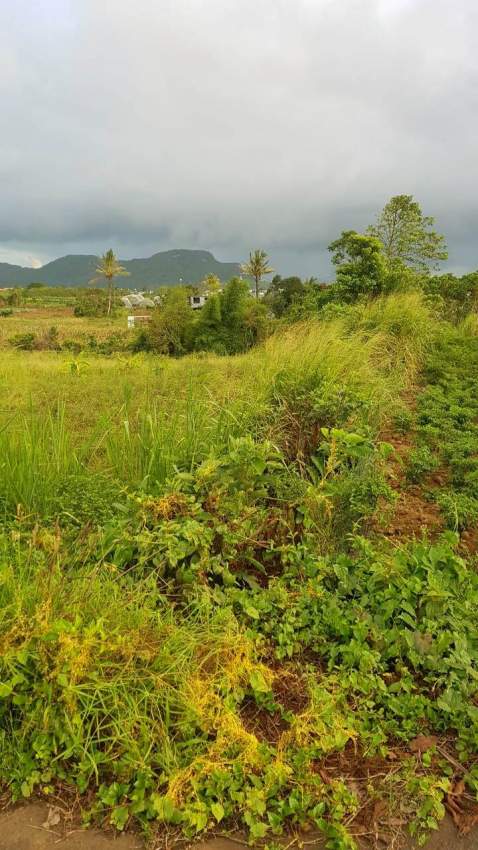 land for sale - 0 - Land  on Aster Vender