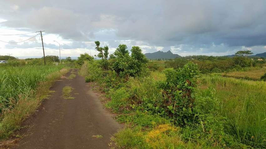 land for sale - 2 - Land  on Aster Vender