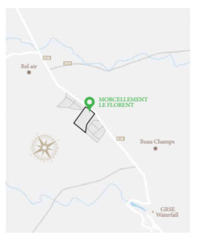 Residential Land For Sale Morcellement Le Florent Bel Air 12.5 Perches - 4 - Land  on Aster Vender