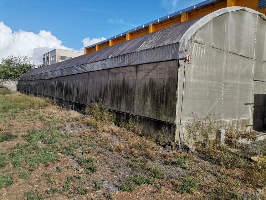 Greenhouse - 0 - Others  on Aster Vender