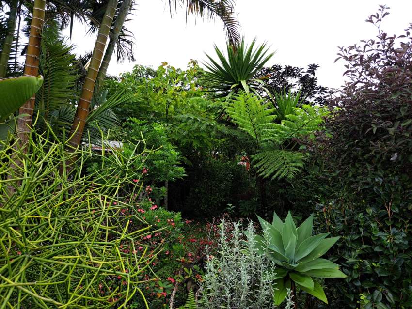 Forest Side – House – Sale - 6 - House  on Aster Vender