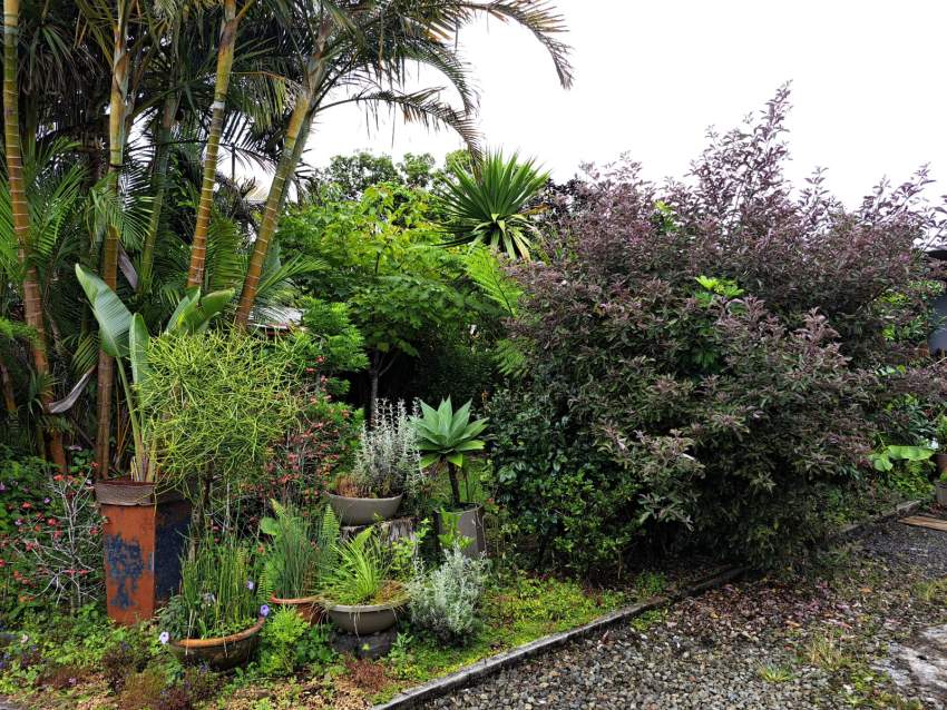 Forest Side – House – Sale - 5 - House  on Aster Vender