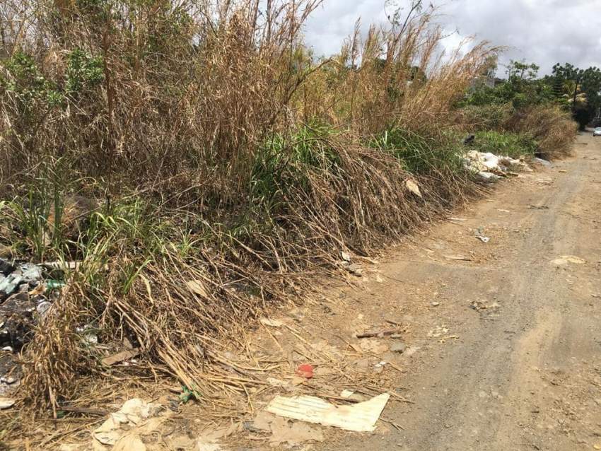 Agricultural Land for sale at Hollywood road Vacoas Aster Vende...