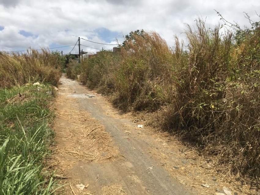 Agricultural Land for sale at Hollywood road Vacoas Aster Vende...