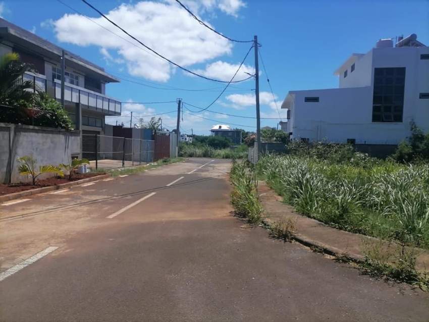 Land at Coromandel on Aster Vender