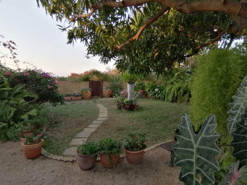 Vue sur mer furnished villa for sale in Albion - 3 - Villas  on Aster Vender