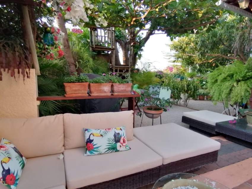 Vue sur mer furnished villa for sale in Albion - 5 - Villas  on Aster Vender