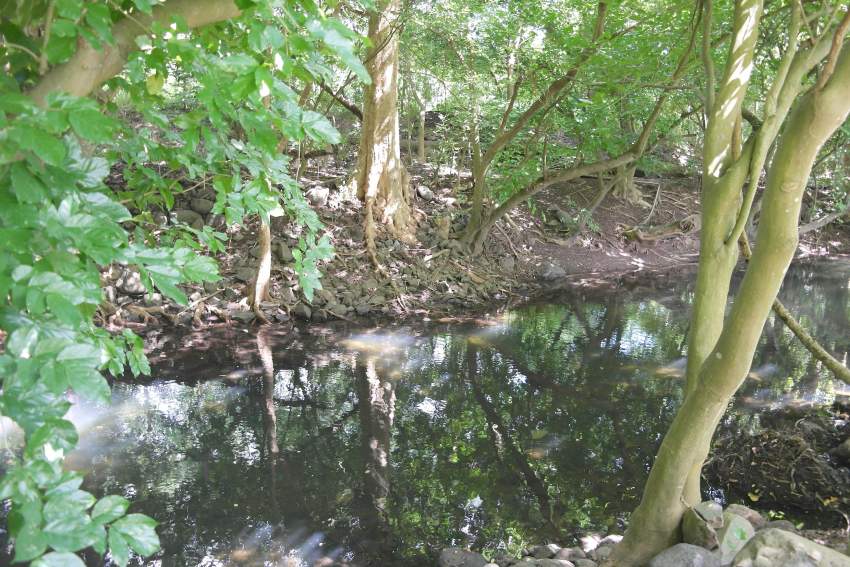 For sale residential land of 2606m2 at the entrance of the Black River - 0 - Land  on Aster Vender