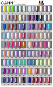 GEL NAIL POLISH  - 1 - Nail polish  on Aster Vender