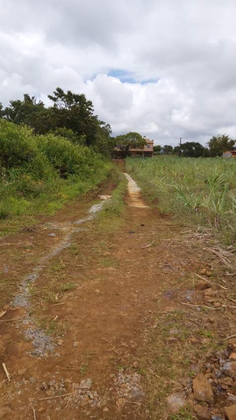 Land for sale - 1 - Land  on Aster Vender