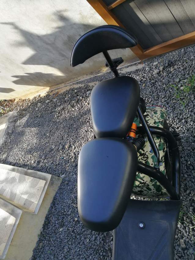 Electric Scooter Bike  - 0 - Scooters (above 50cc)  on Aster Vender