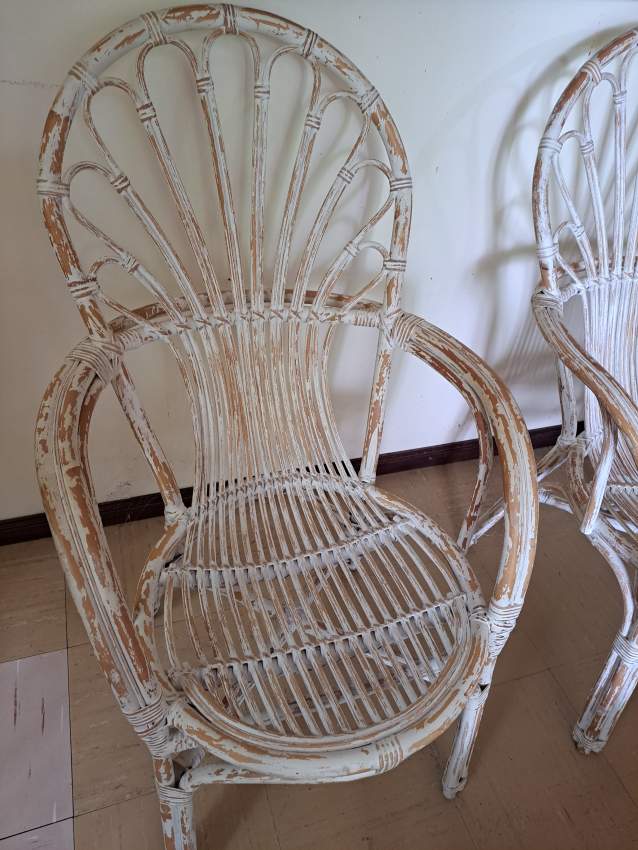 Rattan Chairs - 1 - Chairs  on Aster Vender
