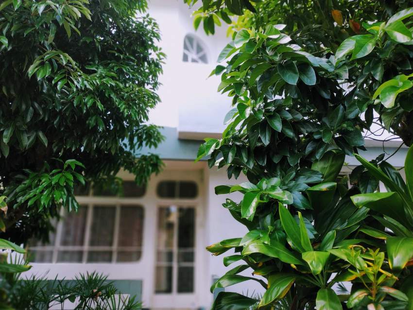 Maison à vendre - 0 - House  on Aster Vender