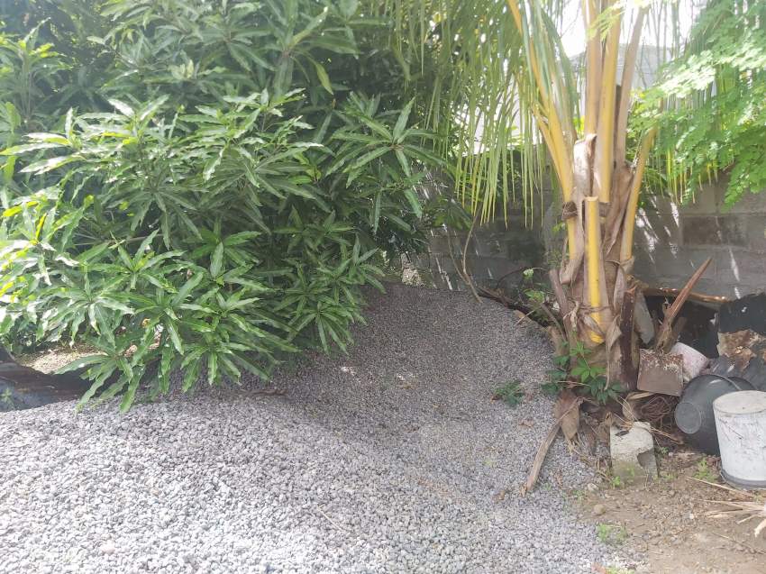 Pre made house for sale - 0 - Ready Made House  on Aster Vender