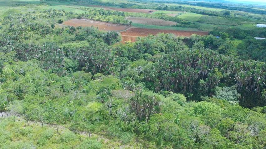 Agriculture land - 1 - Land  on Aster Vender