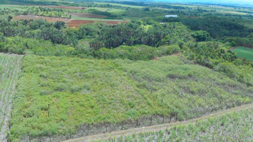 Agriculture land - 2 - Land  on Aster Vender