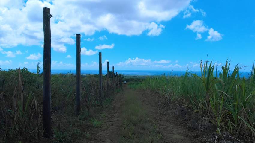 Agriculture land - 3 - Land  on Aster Vender