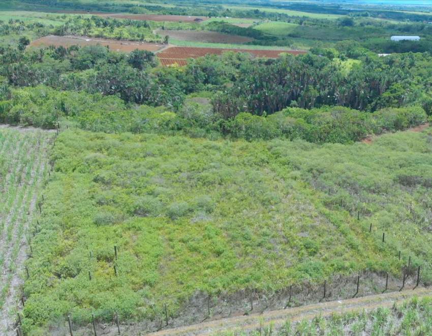 Agriculture land - 0 - Land  on Aster Vender