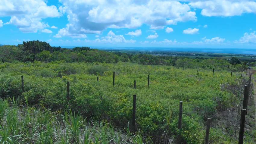 Agriculture land - 4 - Land  on Aster Vender