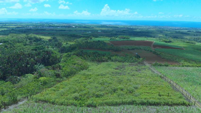 Agriculture land - 5 - Land  on Aster Vender