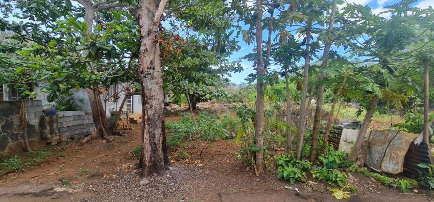 Terrain residentiel @ Triolet - Terminus 18.7 perches on Aster Vender