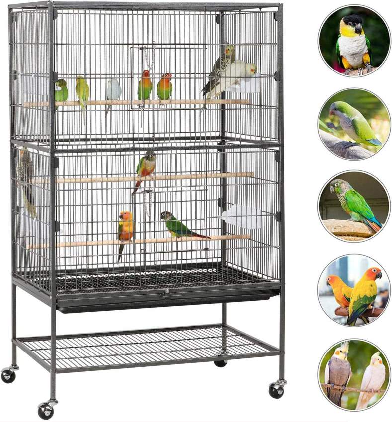 bird cage metal - 4 - Birds  on Aster Vender