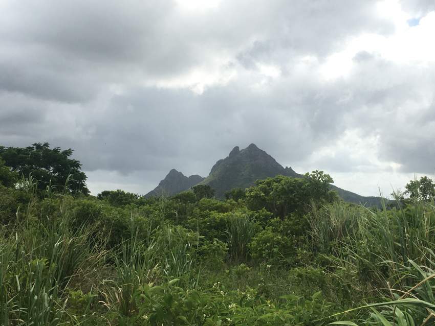 Urgent sale - 1 - Land  on Aster Vender