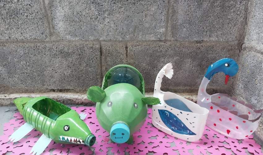 Flower Pot on Aster Vender