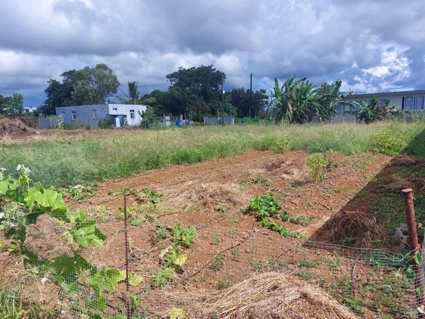 Land for sale on Aster Vender