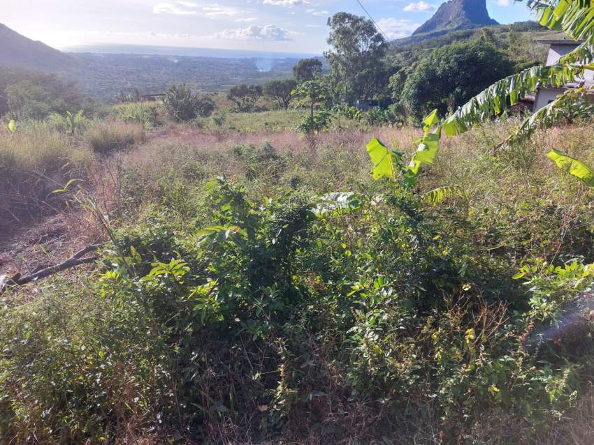 Residential land for sale - 5 - Land  on Aster Vender