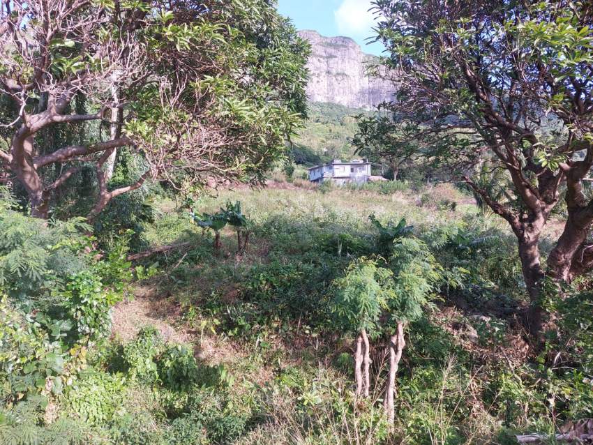 Residential land for sale - 5 - Land  on Aster Vender