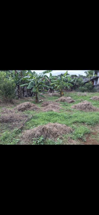 Residential land for sale in Petit Bel Air - 1 - Land  on Aster Vender