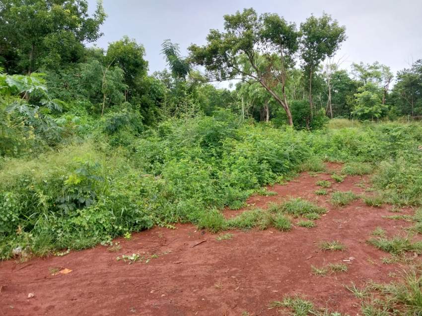 Land for sale at Arsenal on Aster Vender