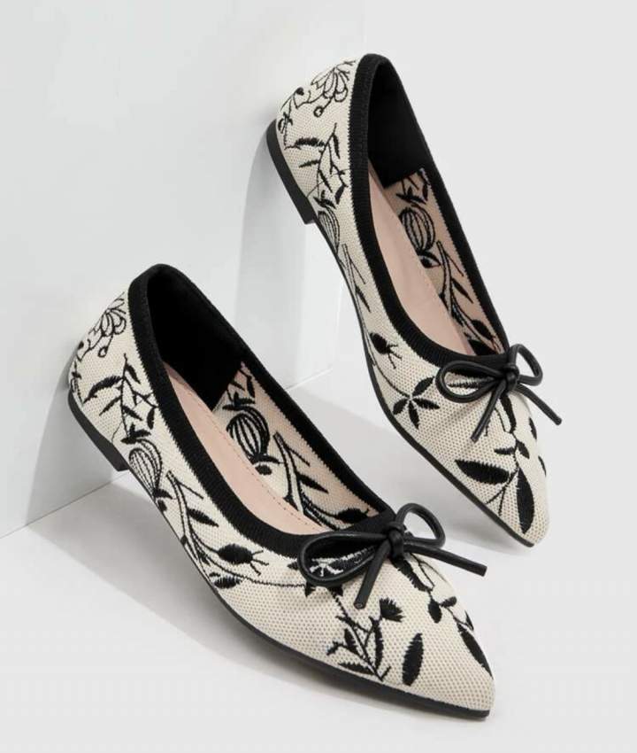 Women’s point-toe ballet shoes - 1 - Women's shoes (ballet, etc)  on Aster Vender
