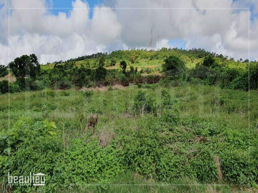 Four Agricultural plot of lands for sale in Ripailles. - 2 - Land  on Aster Vender