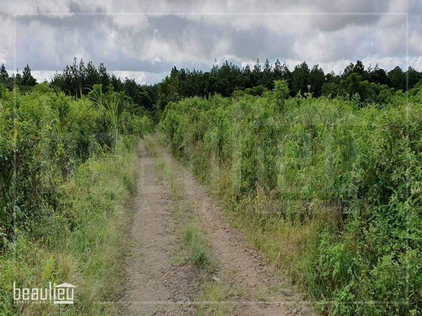 Four Agricultural plot of lands for sale in Ripailles. - 1 - Land  on Aster Vender